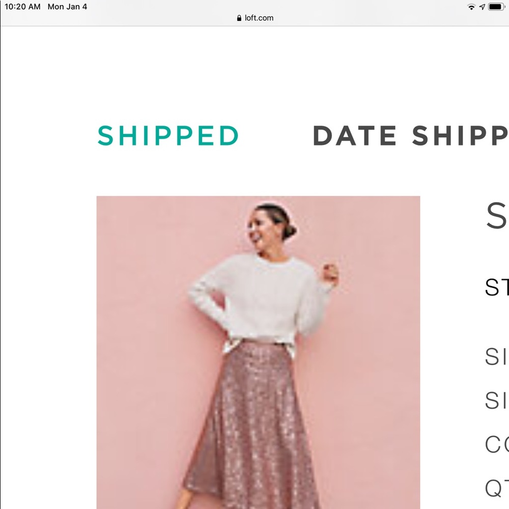 Sequined midi skirt
